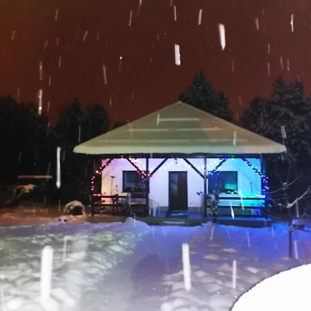 Limpedea Green House Baia Mare Exterior photo