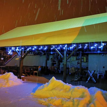 Limpedea Green House Baia Mare Exterior photo