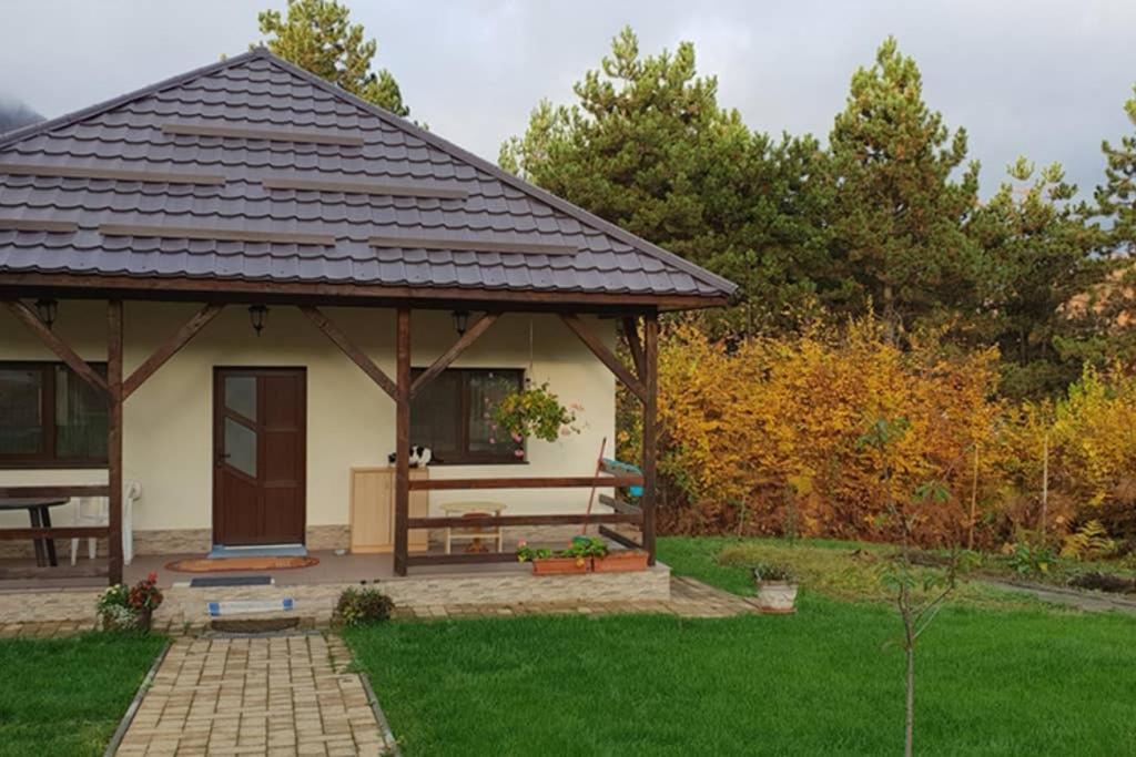 Limpedea Green House Baia Mare Exterior photo