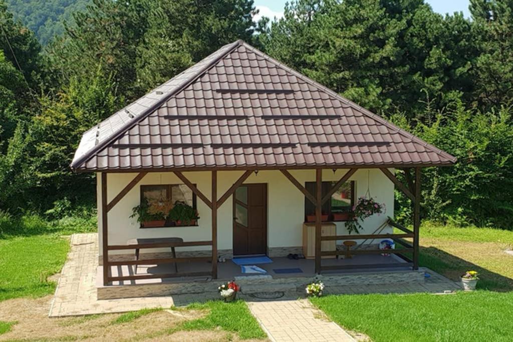 Limpedea Green House Baia Mare Exterior photo
