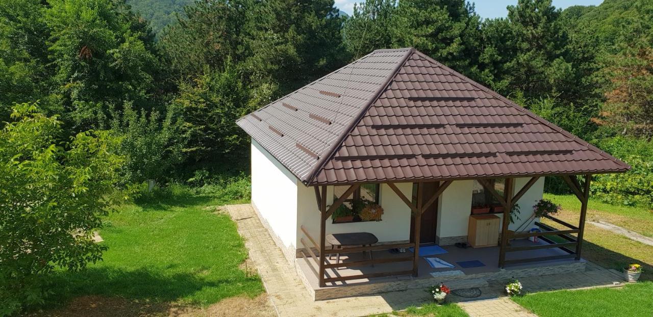 Limpedea Green House Baia Mare Exterior photo