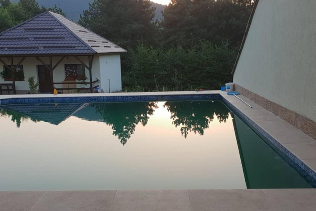 Limpedea Green House Baia Mare Exterior photo