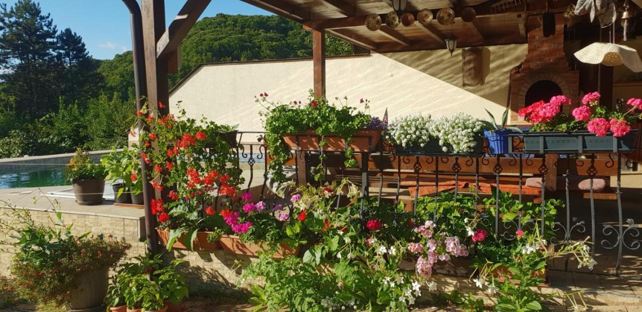 Limpedea Green House Baia Mare Exterior photo
